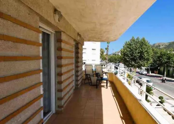 Vibrant Central Albir Pad