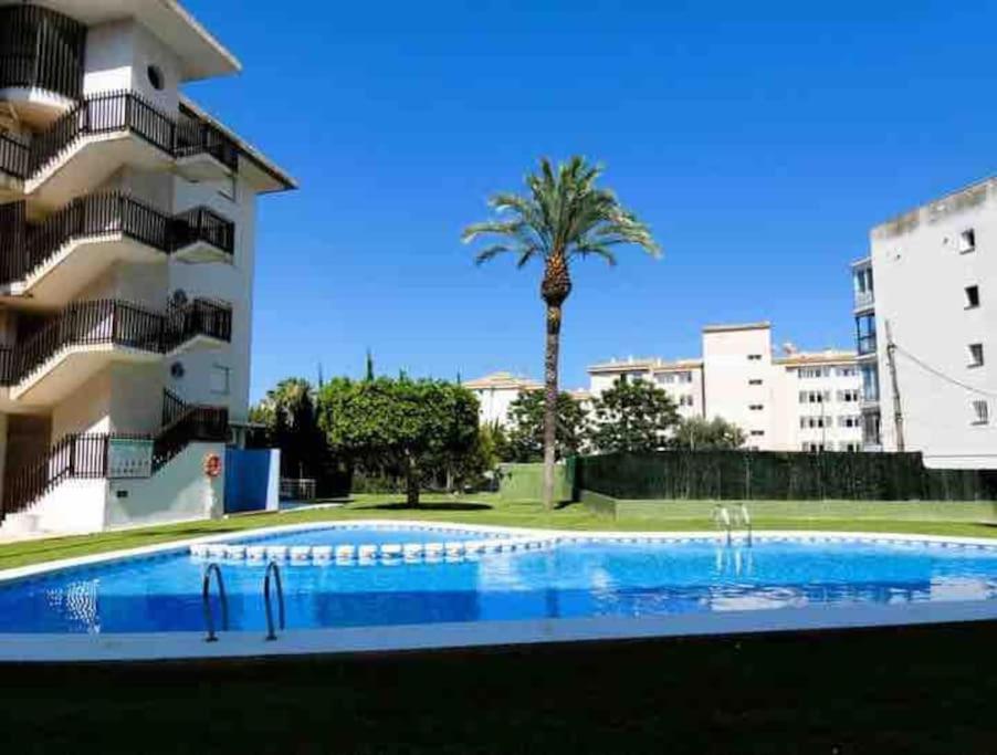 Apartment Vibrant Albir Pad *